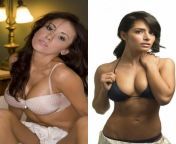 Jenn Sterger vs Sarah Shahi from sarah shahi xxx fake nude