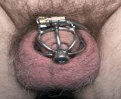 Tiny dick locked in chastity with urethral tube. from tiny