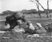 A Polish girl cries over the body of her 14-year-old sister who was killed by the luftwaffe from arab khalij girl cries
