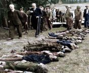 American soldiers forcing Sudeten Germans from Volary to view Jewish victims. Although most Germans were genuinely shocked by the extent of the camp system, atrocities against Jews, Slavs, etc. was common knowledge. from jtumaruc jpg from jenie tumaruc view