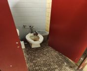 school toilet reveal from dhaka school toilet