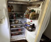 How to clean an abandoned fridge with rotten food? from dr chaddha food corona patient