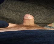 [29mUK] Just a simple penis picture today. from penis