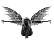 make the wings black an I&#39;d like the pic even more... from black an