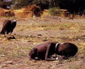 The vulture and the little girl by Kevin Carter taken during the famine of Sudan in 1993 from saouth sudan