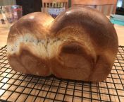 First ever attempt at Japanese Milk Bread. I may have found my calling. More pics linked in the comments. &amp;lt;3 (not nsfw) from japanese milk videos
