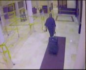 In 2005 the discovery of a beatened and Battered Inna Budnytska would help lead to the arrest of serial rapist Michael lee Jones. The photo is of security footage showing Jones leaving the Hotel that Budnytska was staying at. Inside the suitcase is the un from actress of serial b