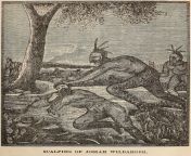 Old Austin Tales: The Scalping of Josiah Wilbarger - August 1832 from twice told tales