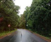 Bangalore to Goa Road Trip - Best way and Tips - Karnataka Tourism from mumbai to goa road