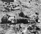 A dead U.S Marine still clutches the knife he used to kill a Japanese soldier, in the background, in a duel. He was killed by a sniper&#39;s bullet moments later. [1280x875] from japanese soldier rape girl in