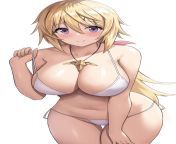Charlotte Dunois [Infinite Stratos] from stratos