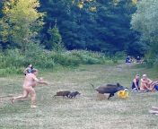 A Nudist in Berlin had his laptop bag and pizza stolen by a boar. from boar