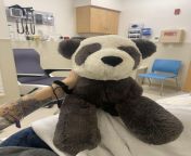 Special thanks to my emotional support panda Charlie, for helping me through my first time being hospitalized in the ED from panda nae