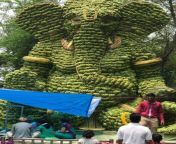 A 25-feet statue of a Hindu God (Ganesha) is hand made out of bananas from hindu god parva
