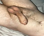 Morning pic of my 45 yo penis and balls. Should I shave it? from shave penis gay