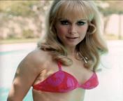 Barbara Eden, 1960s from barbara eden nude
