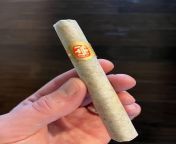 18 year old Fonseca KDT from fonseca
