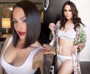 (HOTTEST CELEB ROUND ONE) Nikki Bella vs Brie Bella from sex srk in karina ra one videos xxx nikki bella sexy bf video