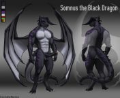 New to the furry and scaley community. I&#39;m Somnus the Black Dragon from dragon maid39s
