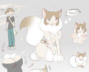(Cat Condo) ragdoll cat tf uwu (oc) from cat transformation