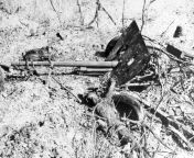 Remains of a Japanese Type 1 47 mm anti-tank gun and crew knocked out by a U.S. Marine flame-throwing tank. Okinawa, 12 May 1945. from 125 desi anti pakistan