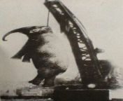 Bak?c?s?n? ldrd? iin halka a?k bir ?ekilde idam edilen bir fil (1916) from kame s