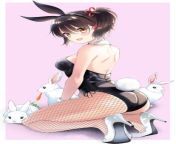 Bunny Girl Hasuki, by Kaneda-sensei. from koikatu hasuki komai