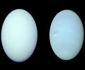 Uranus and Neptune depicted in true color. The well-known Voyager 2 images were actually artificially enhanced; these corrected images use Hubble data to restore the most accurate colors (details in comments) from anasrya sexxxxxy images