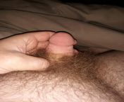 This is my three inch long penis is that small in your opinion and are you bigger? from www inch long penis sex