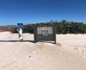 Beach Access photo of #13 at Playalinda. Photo by Canaveral National Wildlife Refuge from download indian milky girl xxx photo by