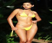 Tanushree Sharma bikini navel from tanushree chatterjee