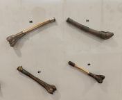 Human femur trumpets, all from 18th century CE, from Ladakh. On display at National Museum, New Delhi, India.[34562992][OC] from xvideos school delhi india hd comndian serial akshara sexest sex videos com w koyelxxx