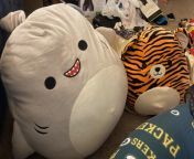 This panda reached a 3 month goal so Tiger bought her not one stuffie BUT TWOOOO!!! Meet Gordon the shark and Packer the Tiger ??? from asima panda xxxi