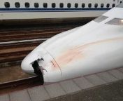 Japanese bullet train hits a person at the speed of 320km/h (200mph)... from mom2fuk bullet train mp4