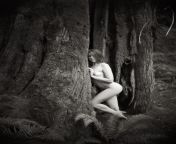 Nude in the forest - Photographer - David Alexander from nude in the forest 10 jpg