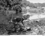 Members of the Australian 2/17th Battalion inspecting the bodies of dead Japanese soldiers in Brunei during an operation on 13 June 1945 from brunei muthsabri