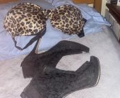 About to put on my leopard bra and sexy stilettos ?! I havent worn stilettos in awhile Im very excited!! Glad its a Friday night! Already gotten high and put on a sexy VS Body black thong size small! ? from nani and anti bangla choti sexy