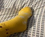 Yellow cat socks from babe yellow cat