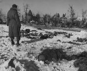 Allied soldiers looking over the scene of the Malmedy Massacre, a war crime committed by the 1st SS Panzer Division Leibstandarte SS Adolf Hitler against 84 American POWs on 17 December, 1944. Picture taken 14 January, 1945 from masha bobko 1st studio scene