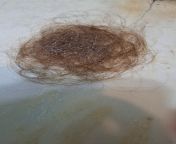 I have long hair for the first time in my life (shoulder length, curly/wavy) is this amount of hair normal after not washing it for 3 days? Or am I going bald? (Gross drain hair warning) from pornosiaa bengla boudi long hair sex long hair xx