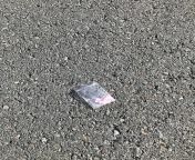 Found this on the course of the Blue Nose marathon. Is this considered cheating?? Pepto tabs are a banned substance I thought.. from the blue lagoon 2