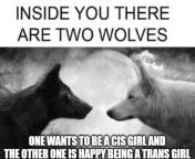 and both the wolves are kissing each other &#&# from frd amp frd kissing each other