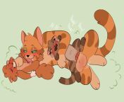 Warrior cats [Firestar x Leafpaw x Squirrelpaw] from manju warrior nude fake x