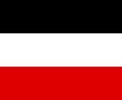 would it be in bad taste to have a kaiserreich flag on my wall as modern german neo nutzis use the flag to dodge the anti swastika laws? from swastika mp4
