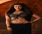 Kajal Agarwal Navel In Black Saree from hous owner sarvantamil actress kajal agarwal xxx videos
