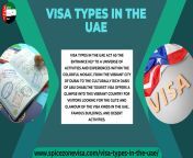 visa types in the UAE from uae 3xxx