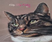 My pet portraits are created on a commission base for clients all over the world, I create authentic, high quality, realistic pastel pencil drawings of your pets, capturing their individual characters. Each hand-drawn bespoke portrait makes a great, perso from mom son xx erotic pencil drawings