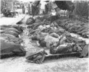 The bodies of the forty-one US Army prisoners of war who were murdered on August 17, 1950, by troops of the North Korean People&#39;s Army (KPA) during one of the engagements of the Battle of Pusan Perimeter. from film meri jung one man army ki ac