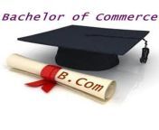 Top College Bachelor of Commerce (B.Com.) in India from semri kand siddharth nagarxxx b com