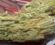Lemon Haze I know theres fancier strains out there, but sweet citrus notes like lemon will always be a personal favourite. Lemon haze makes me feel so good. A nice balanced high, great taste and smell. Really does smell like freshly sliced lemons. Alway from yemiko lemon